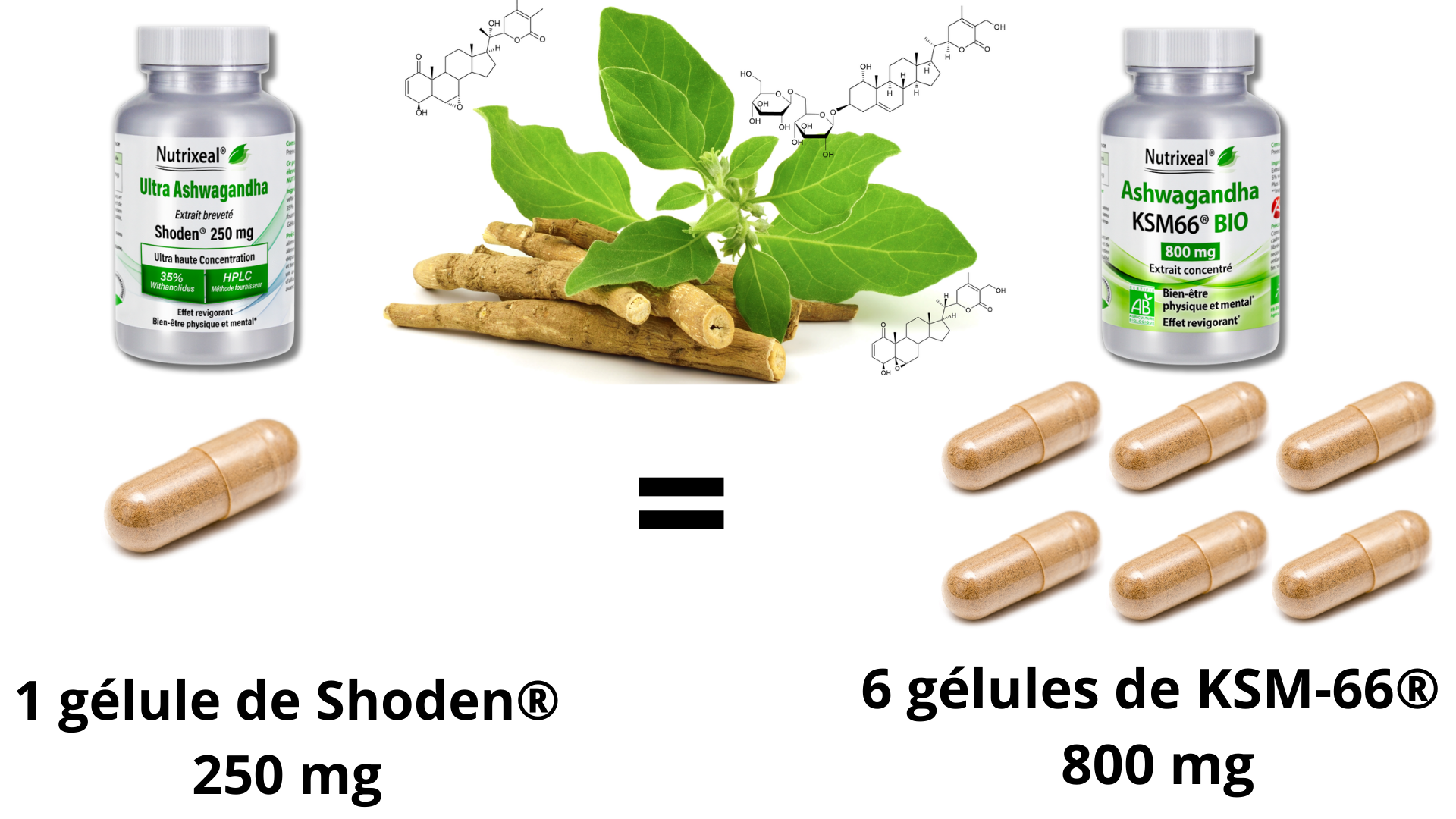Comparaison de dosage de l'ashwagandha Shoden et l'ashwagandha ksm-66